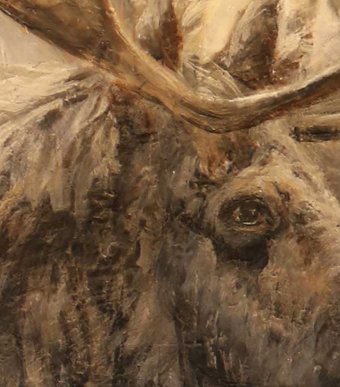 Big Moose Limited Edition Print